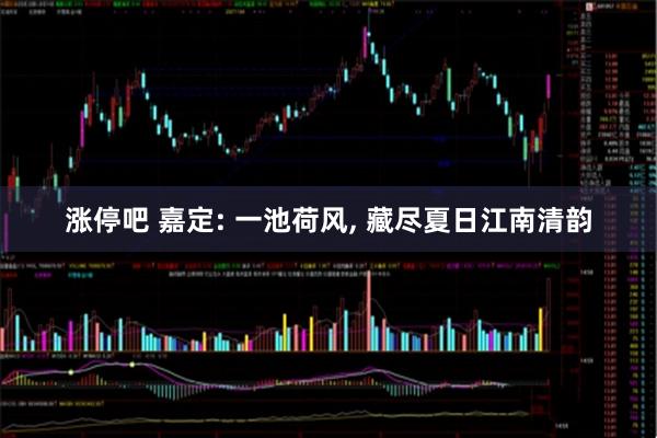 涨停吧 嘉定: 一池荷风, 藏尽夏日江南清韵